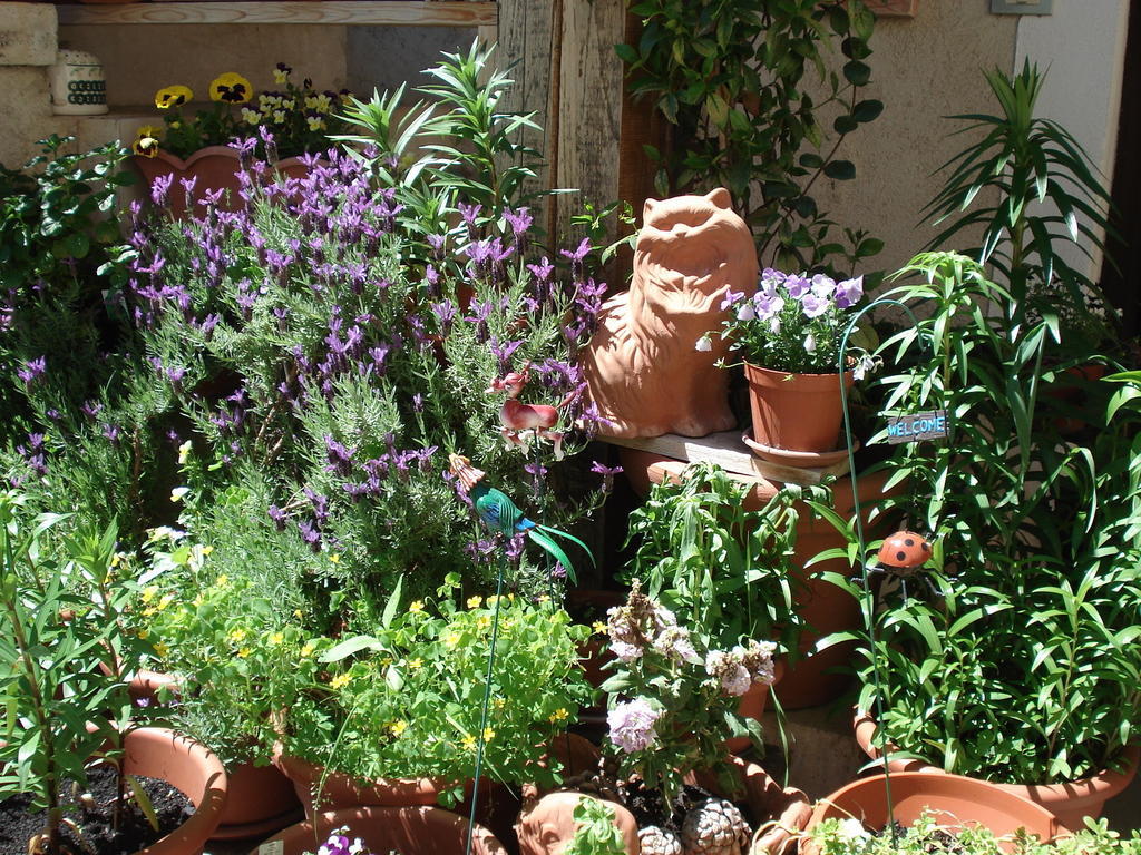 Abruzzo Segreto Bed and Breakfast Navelli Εξωτερικό φωτογραφία