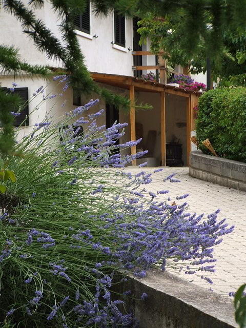 Abruzzo Segreto Bed and Breakfast Navelli Εξωτερικό φωτογραφία